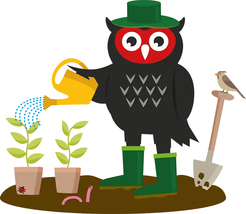 Gisburn-Road-owl-gardening-transparent-cropped