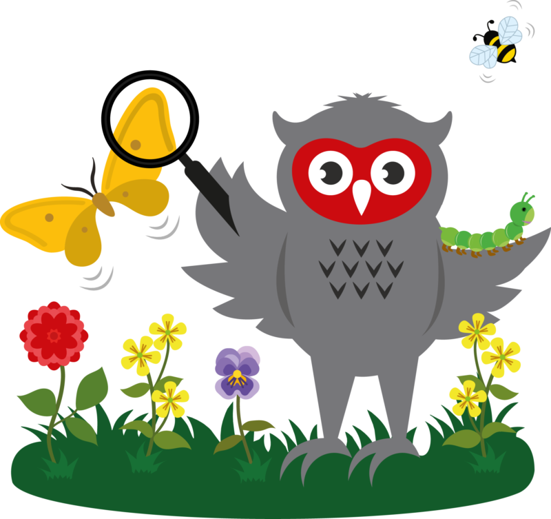 Gisburn Road preschool owl nature transparent cropped