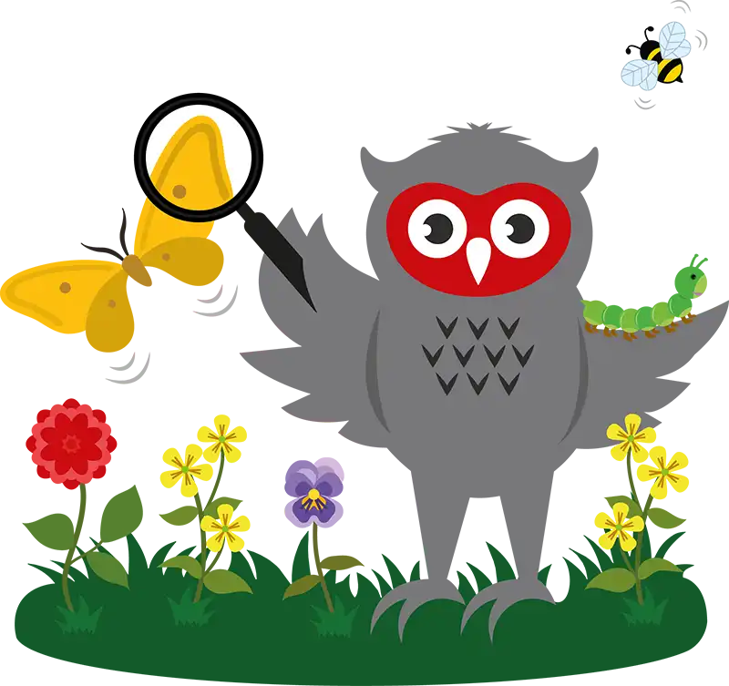 Gisburn-Road-preschool-owl-nature-transparent-cropped
