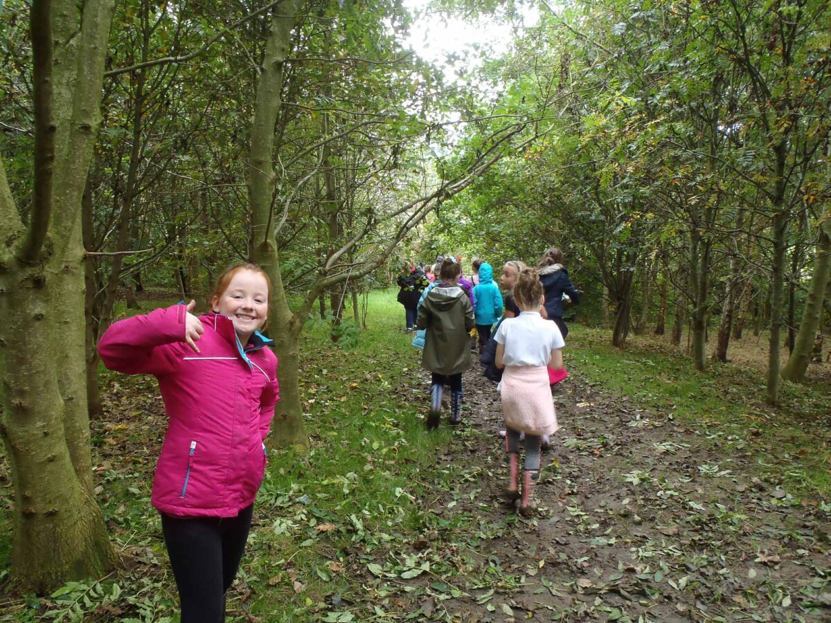 Woodland Gisburn Road Barnoldswick Primary School