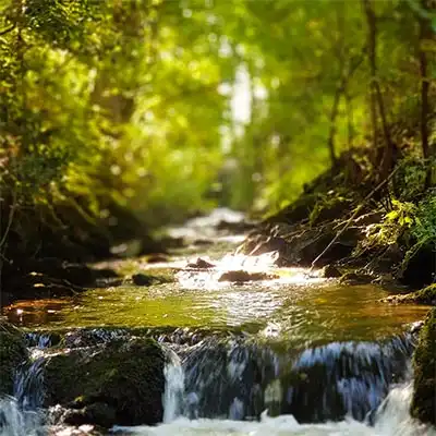 valley gardens beck waterfall view