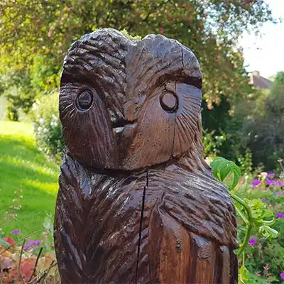 valley gardens characters owl